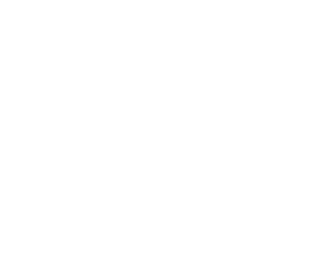 Google review